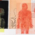 Atlas of the Body Transparent, Doug Biden