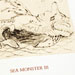 Sea Monsters, 1st Ed, Andrea Taylor
